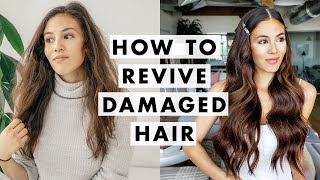 How to Fix Damaged Hair [upl. by Allemat]