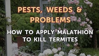 How to Apply Malathion to Kill Termites [upl. by Bilicki]