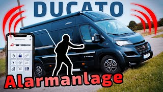 Thitronik Alarmanlage  Fiat Ducato  Bluetooth App  ARS24 [upl. by Neuberger993]