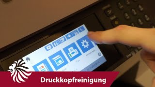 Epson WF Druckkopfreinigung  Tutorial 8  HAIN [upl. by Ecirad]