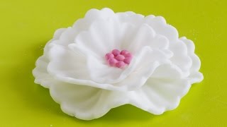 How to make Fondant Flowers  Cake Decorating Tutorial [upl. by Akkahs243]