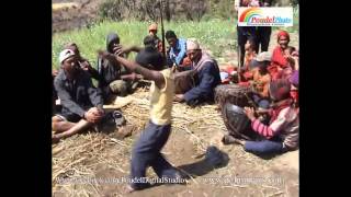 Funny nepali dance at Nepali panche baja [upl. by Llenal]