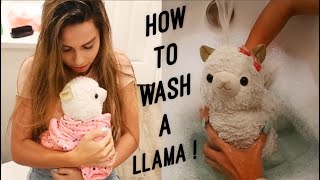 Giving My CRAZY Lil Llama A BATH [upl. by Niboc]