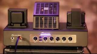 Review Demo  Ampeg PF50T [upl. by Ilona]