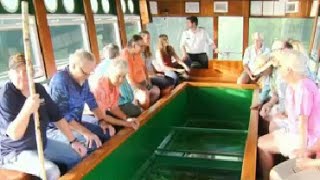 Explore depths of Silver Springs on Glass Bottom Boat [upl. by Ahsed126]