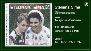 Steliana Sima  Te ajunse dorul meu [upl. by Adrienne412]