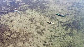 Kayaking Little Gasparilla Island [upl. by Ahsyat149]