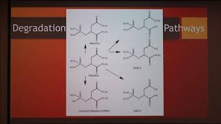 Malathion used against ectoparasites [upl. by Sibeal809]