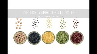 A Comprehensive Guide to Cooking amp Sprouting Legumes Beans Lentils Chickpeas  Recipes [upl. by Anerehs468]