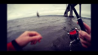 Sea fishing  Unexpected catch  Moray Firth  Inverness [upl. by Llezo]