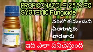 PROPICONAZOLE 25 EC SYSTEMICFungicide వరిలో పాముపొడ తెగులు నివారణhmrTELUGUAGRICULTURE [upl. by Akemad]