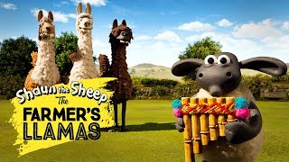 Shaun the Sheep The Farmers Llamas  Part 1 [upl. by Newell]