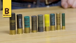 Quick Tip Introduction to Shotshells [upl. by Eicnan]