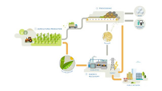 Sugar cane  A source of renewable energy [upl. by Immaj]