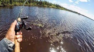 Tackle for BIG Canadian Pike [upl. by Isak949]