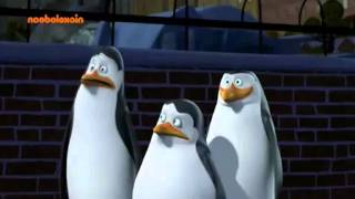 Penguins of Madagascar Clip  What did Kowalski say [upl. by Nerral]