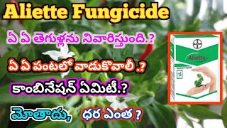 aliette fungicide bayer అలాట్ తెగుళ్ల నివారిణిbayer aliettebayer [upl. by Imoin363]