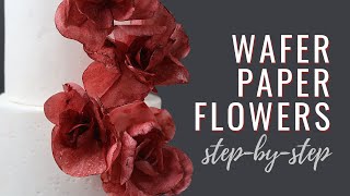 A Beginners Guide to Making Wafer Paper Flowers  Cake Decorating Tutorial [upl. by Gnouhk]