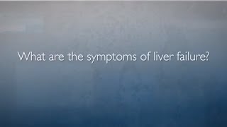 Gross anatomy of the liver [upl. by Rubetta]