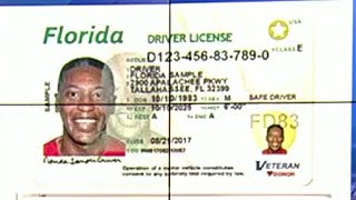 How long do you have to switch to a Florida license tag after moving to Sunshine State [upl. by Sisile609]