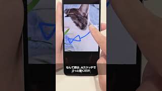 Galaxy Z Fold6  Z Flip6：写真に可愛いイラスト描いてみた  Samsung [upl. by Meng]