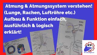 PRÜFUNGSWISSEN 1 Atmung Lunge Atemwege amp Atmungssystem im Rettungsdienst Pulmo Larynx Trachea [upl. by Ahsinaw976]