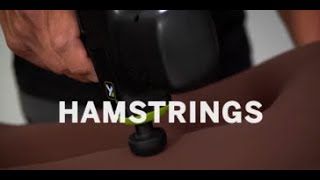 IMPACT Percussion Massage Hamstrings [upl. by Teodoro]