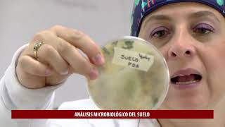 Práctica de laboratorio  Análisis microbiológico del suelo [upl. by Aibonez]