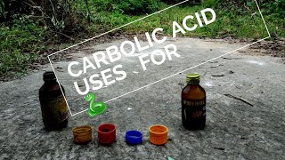 Carbolic Acid Uses For Snake🐍 [upl. by Idnak80]