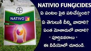 34 Best fungicide ౹ Bayer nativo full information in telugu by telugu raithu tips [upl. by Leveridge765]