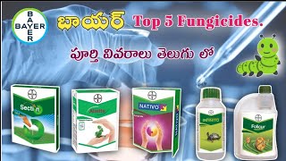 Bayer Top 5 FungicidesతెలుగులోMana kisan మన రైతు [upl. by Kemppe]