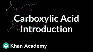 Carboxylic acid introduction  Carboxylic acids and derivatives  Organic chemistry  Khan Academy [upl. by Akcir]