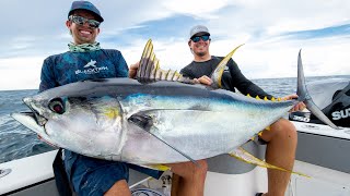 Monster Yellowfin Tuna [upl. by Eirrej]