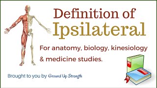 Ipsilateral Definition Anatomy Kinesiology Medicine [upl. by Dixil]