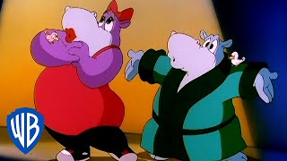 Animaniacs  The Hippo Opera  Classic Cartoon  WB Kids [upl. by Marijn]